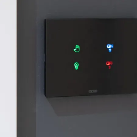 Elysium * טימישוארה